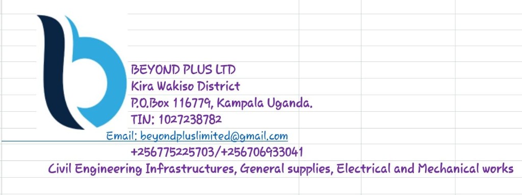 Beyond Plus Ltd Company Information