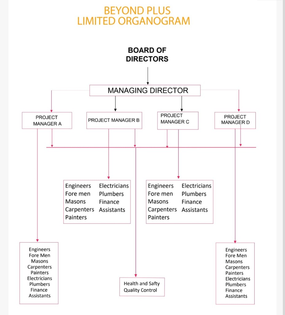 Beyond Plus Ltd Organogram